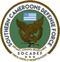 Southern Cameroon DefenseForce