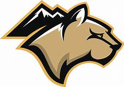 moutain Lions Mountain Lions